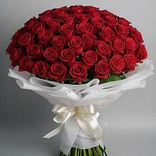Букет 101 Красная роза Блэк Мэджик в Октябрьском Челябинская область