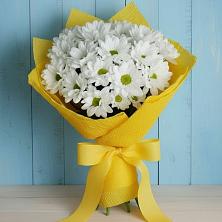 Букет цветов из:  Хризантемы в Октябрьском Челябинская область