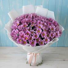 Букет цветов из:  Хризантемы в Октябрьском Челябинская область