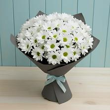 Букет цветов из:  Хризантемы в Октябрьском Челябинская область