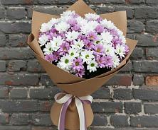 Букет цветов из:  Хризантемы в Октябрьском Челябинская область