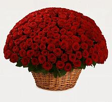 Премиум букет из: Розы в Октябрьском Челябинская область