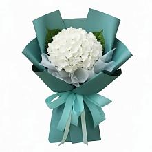Букет цветов из:  Гортензия в Октябрьском Челябинская область
